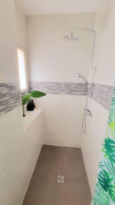Superbe T2 Cosy Plein Centre Apartment Narbonne Bagian luar foto